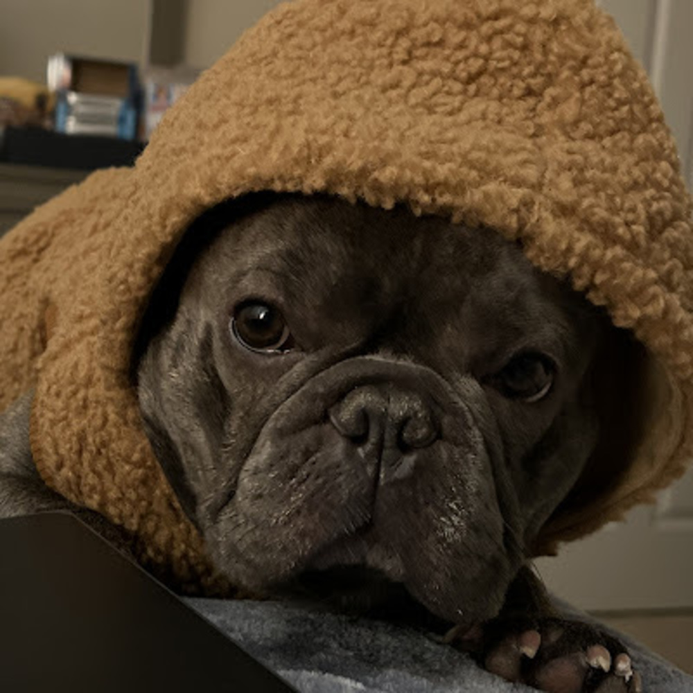 Meet your Posher, Malachi